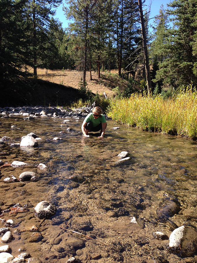 Stephanie, Task Force Big Sky Watershed Corps member, getting her feet wet to collect a water sample from Porcupine Creek. Stephanie and Nancy, Task Force board member, rode their mountain bikes into the backcountry to collect a sample free of human influence. 