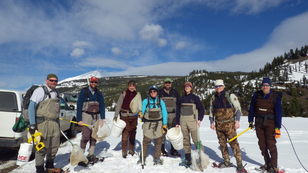 A team led by Montana Fish, Wildlife, and Parks, and including members of the Gallatin River Task Force, United States Forest Service, and Confluence Consulting, Inc., assembled at the South Fork trailhead today.