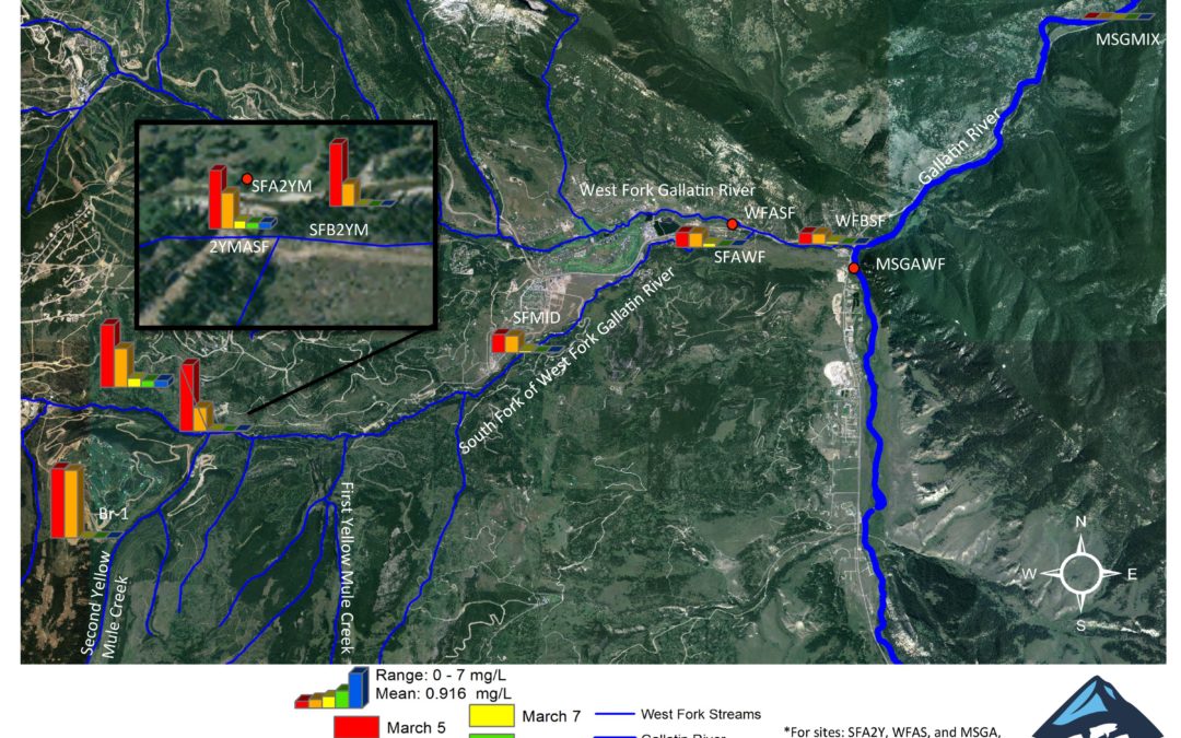 Report Released for the First Phase of Monitoring after the Yellowstone Club Wastewater Effluent Spill