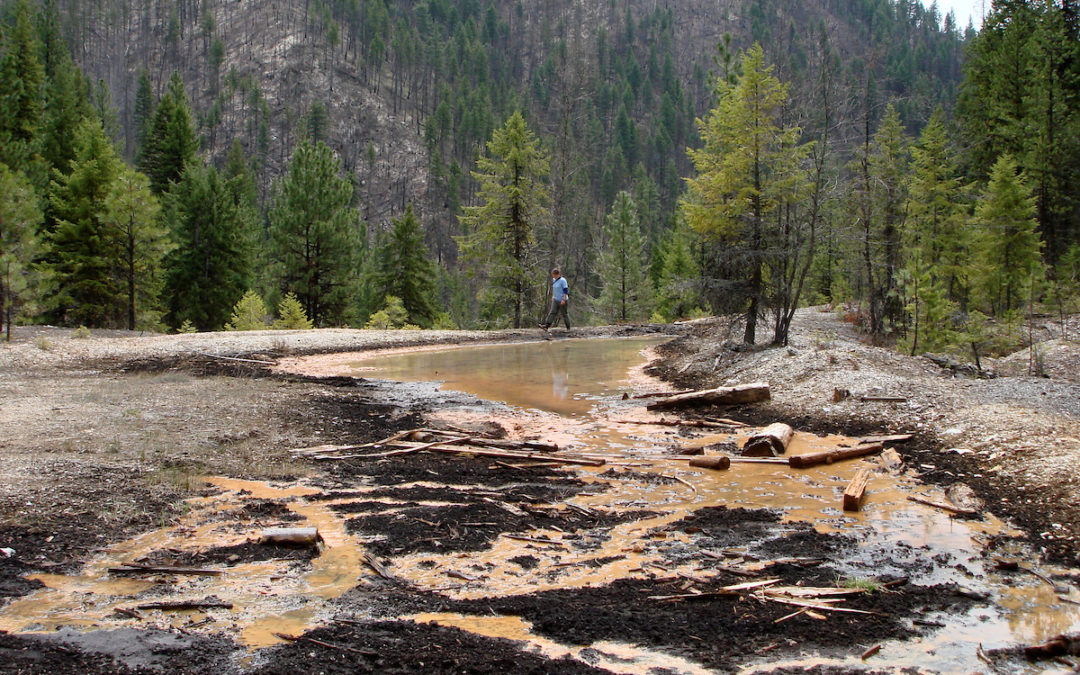 Volunteer to Protect Montana Taxpayers and Clean Water