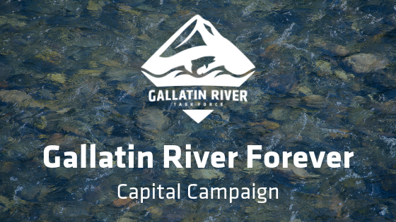 Gallatin River Forever Campaign Nears Fundraising Target