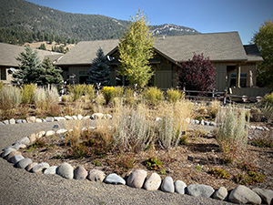 Water Conservation, Crail Ranch, Big Sky, Montana, Native Landscaping