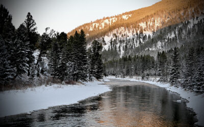 Gallatin River Resolutions: Conserve More Water