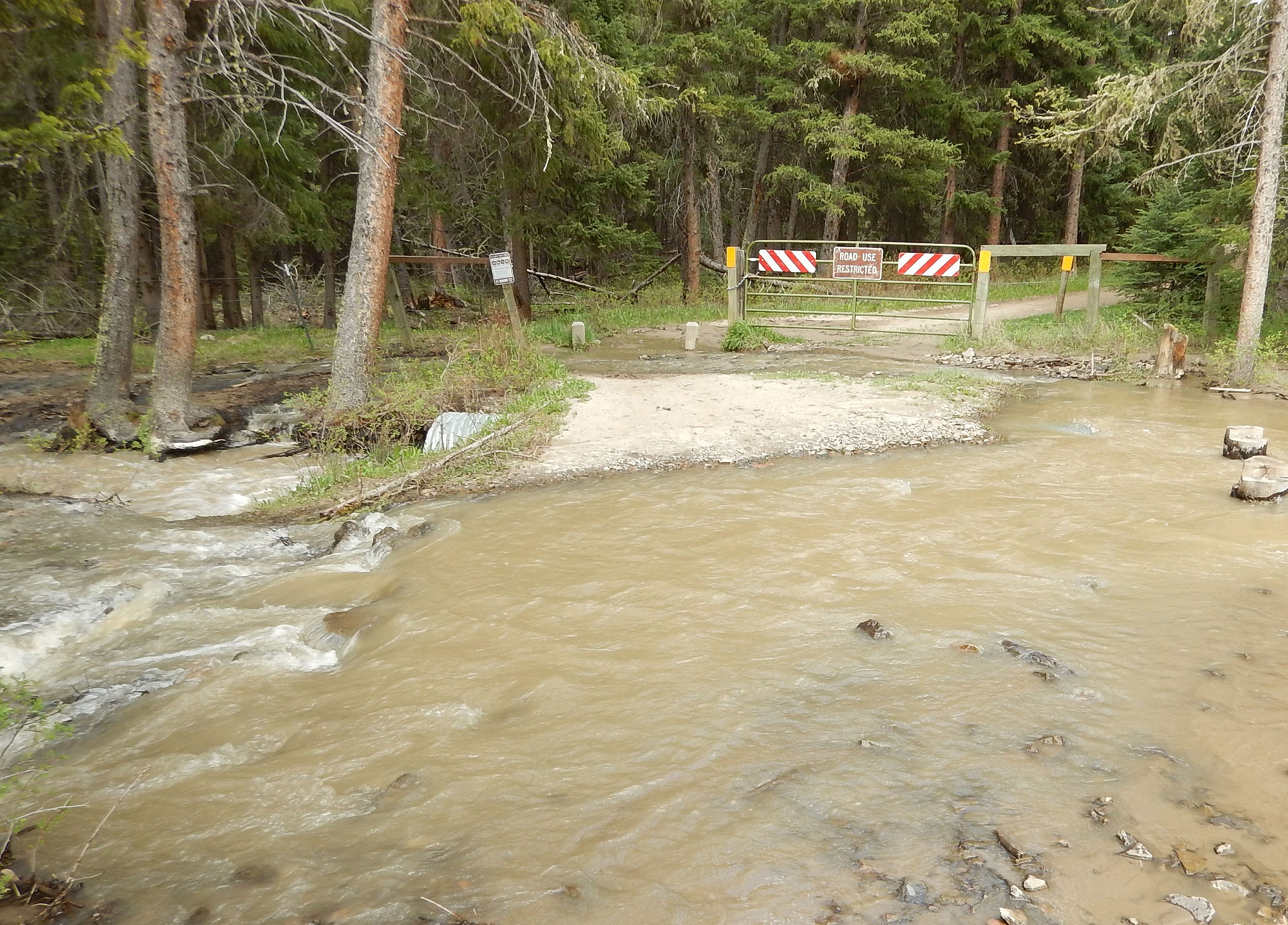 Flooding at the Porcupine Creek Trailhead is an issue during runoff and high streamflow conditions.