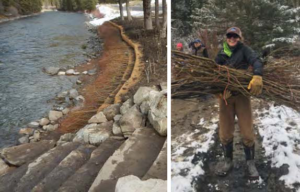 Moose Creek Improvements