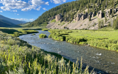 Protecting 1 million river miles begins at home